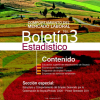 2011. Comportamiento del Mercado Laboral Boletín No 3 Estadístico