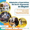 Adaptación y Expectativas del Sector Empresarial en Boyacá.