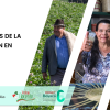 Tendencias de la ocupación en Boyacá 2015-2024
